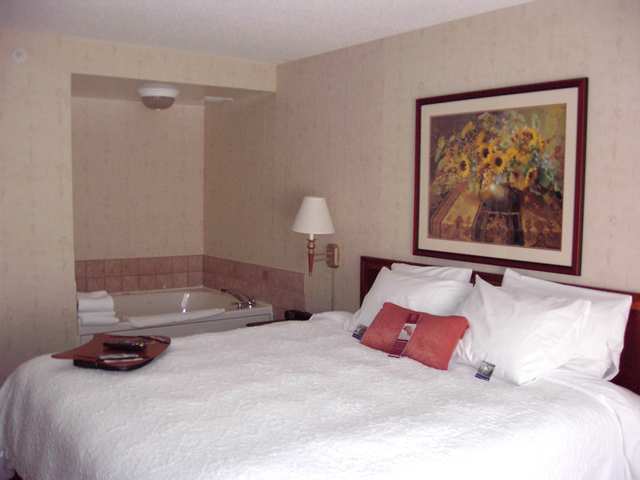 Hampton Inn East Aurora Værelse billede